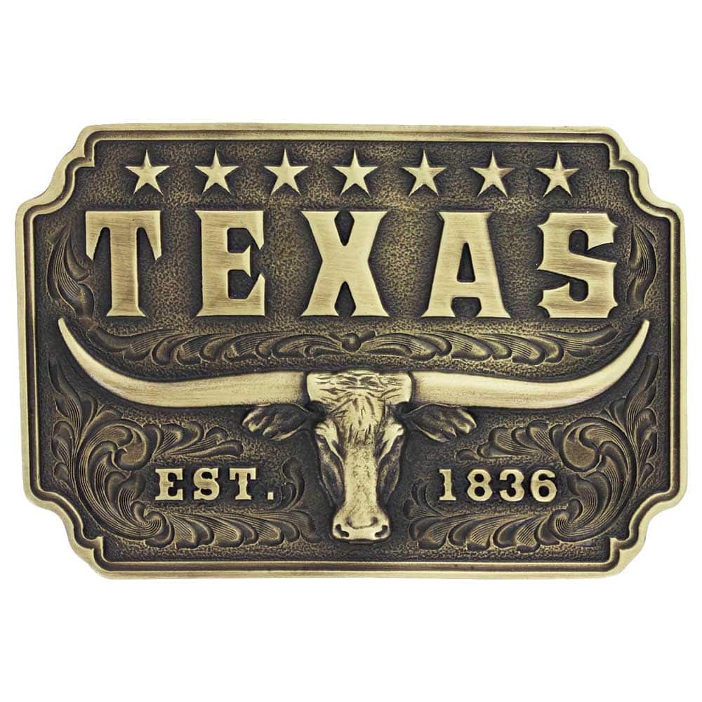 Montana Silversmiths Classic TEXAS Longhorn Buckle A843