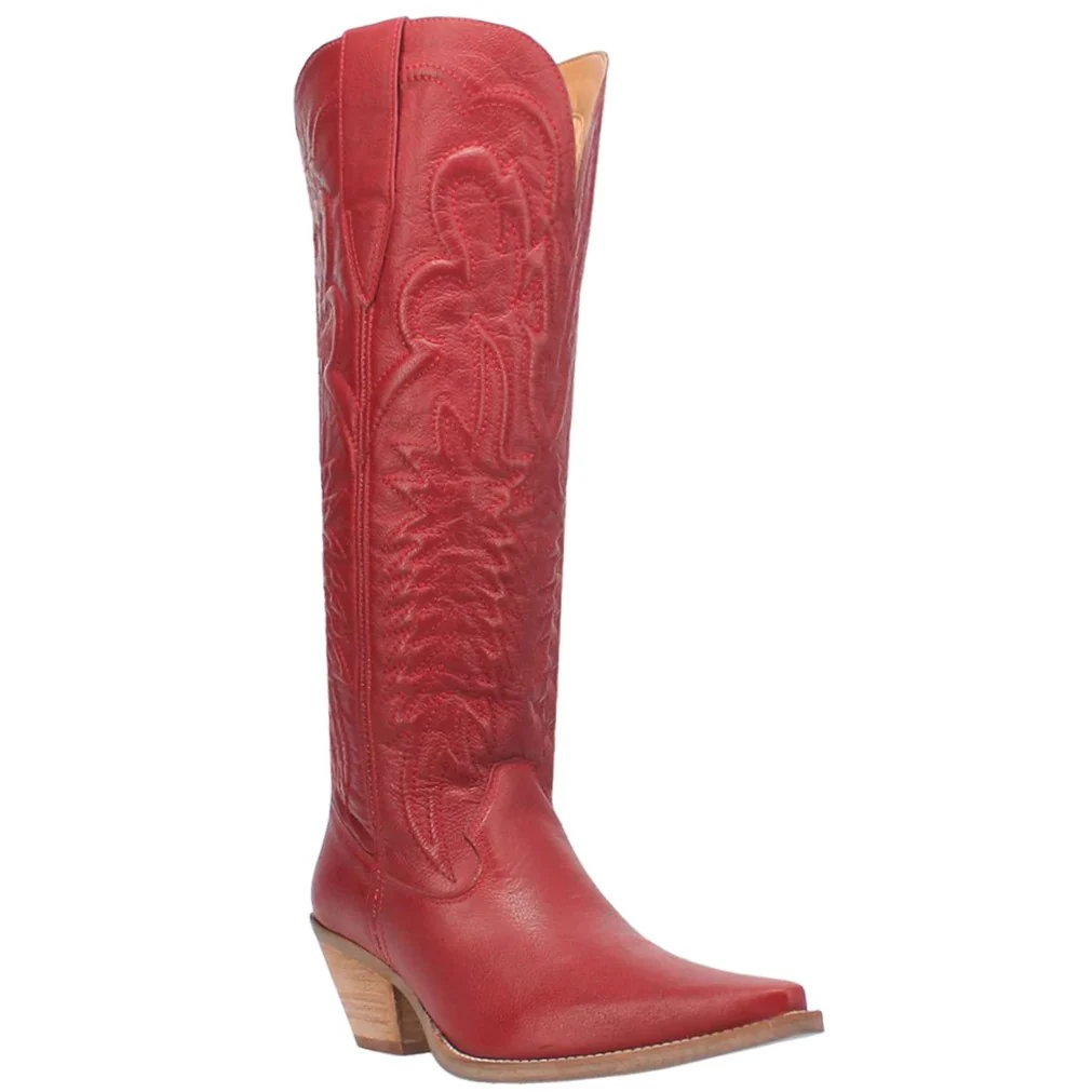 Dan Post Raisin Kane Women's Boot DI167