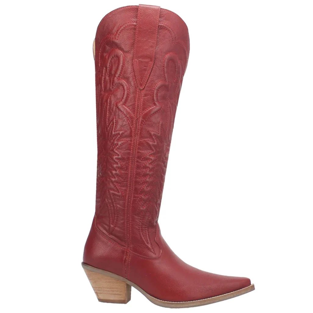 Dan Post Raisin Kane Women's Boot DI167 - Image 2