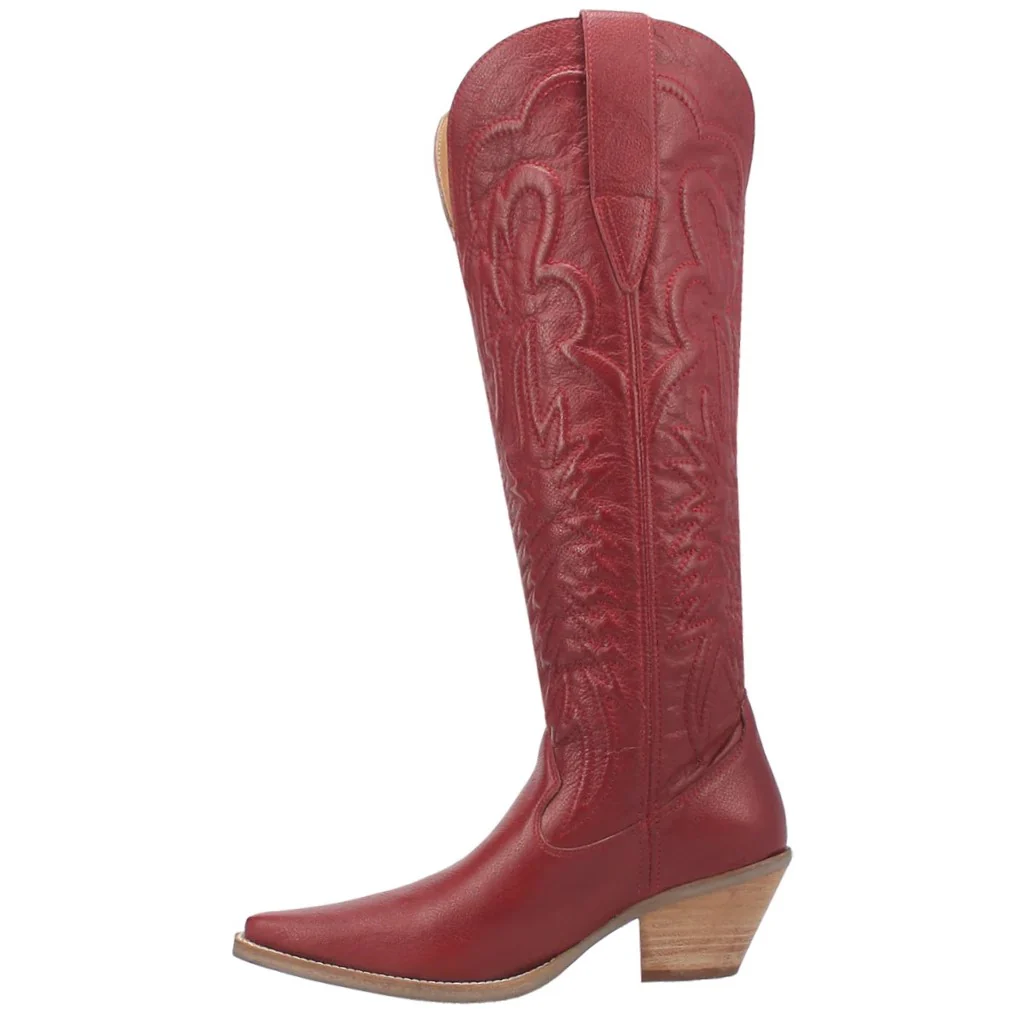 Dan Post Raisin Kane Women's Boot DI167 - Image 3