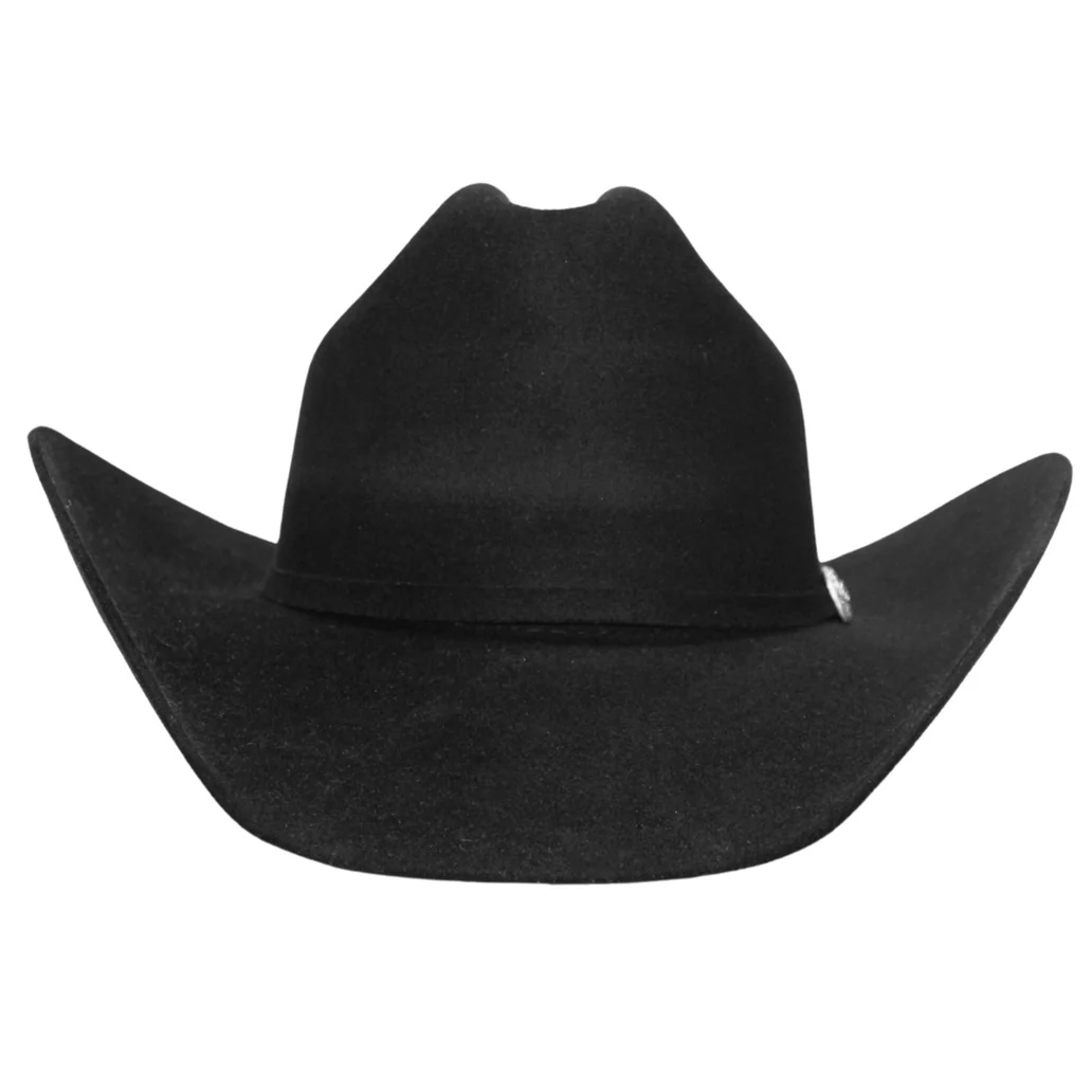 Wild Bill's Tyler Black 20X Fur Felt Cowboy Hat PF2002 - Image 4