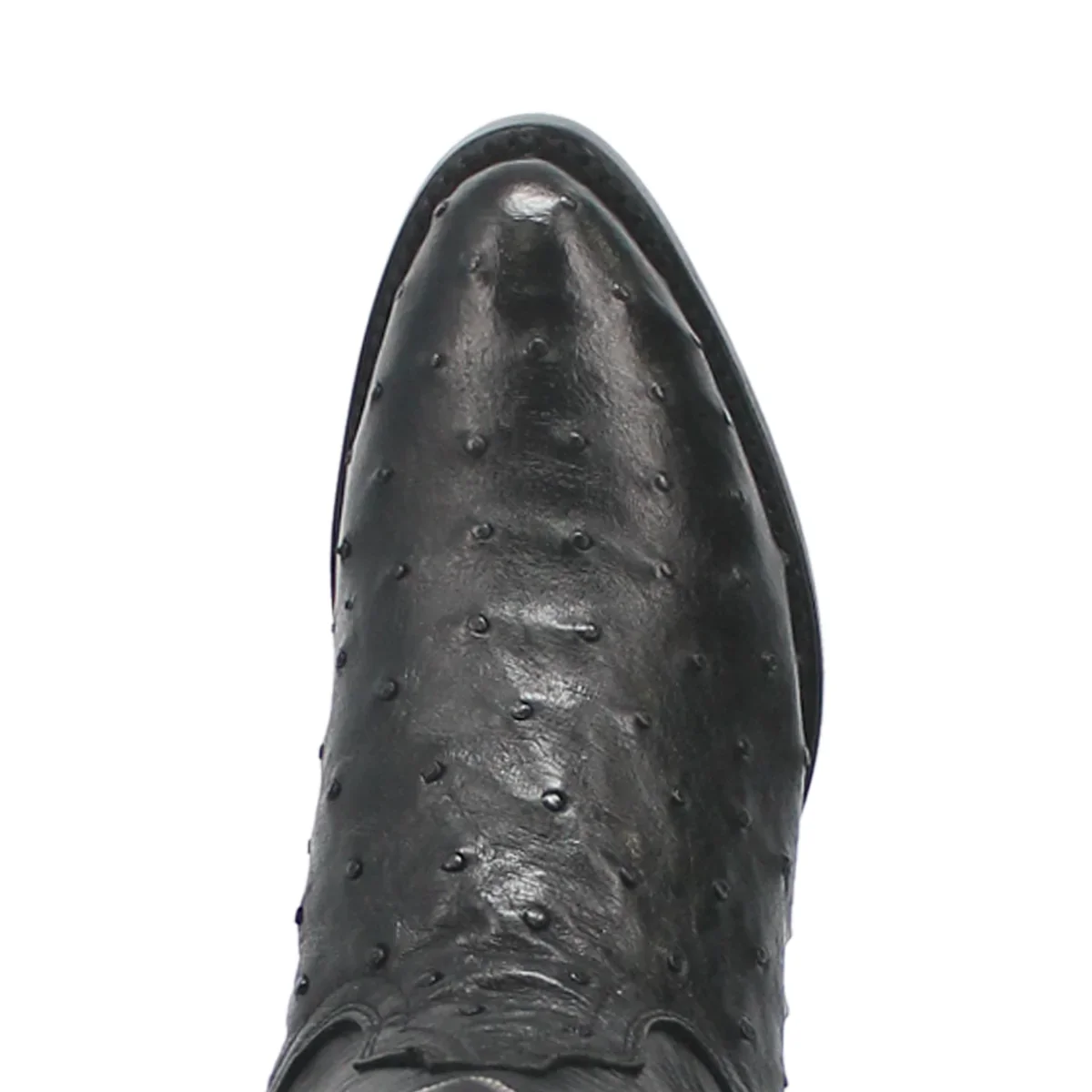 Dan Post Tempe FQ Ostrich Boot DP2321 - Image 6
