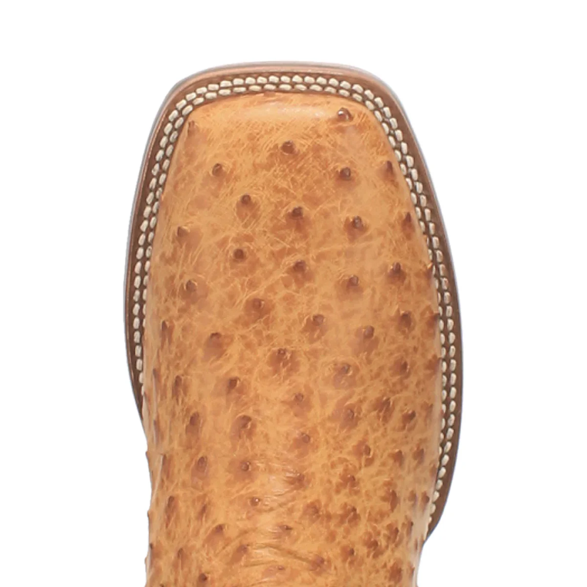 Dan Post Kershaw FQ Ostrich Men's Boot DP4951 - Image 6