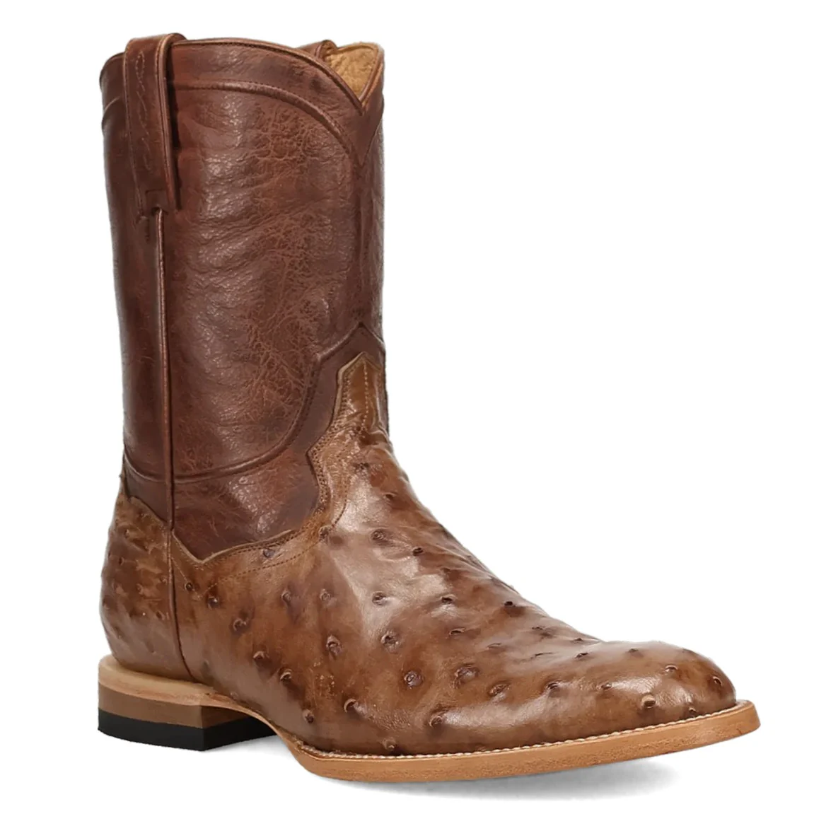 Dan Post Ardor Men’s Boot DP7134