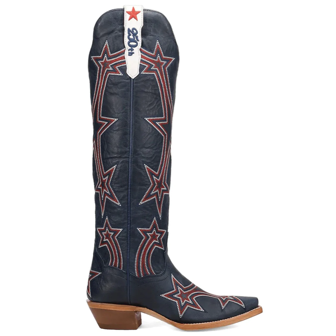 Dan Post America 250 Women’s Boot DP7166 - Image 2