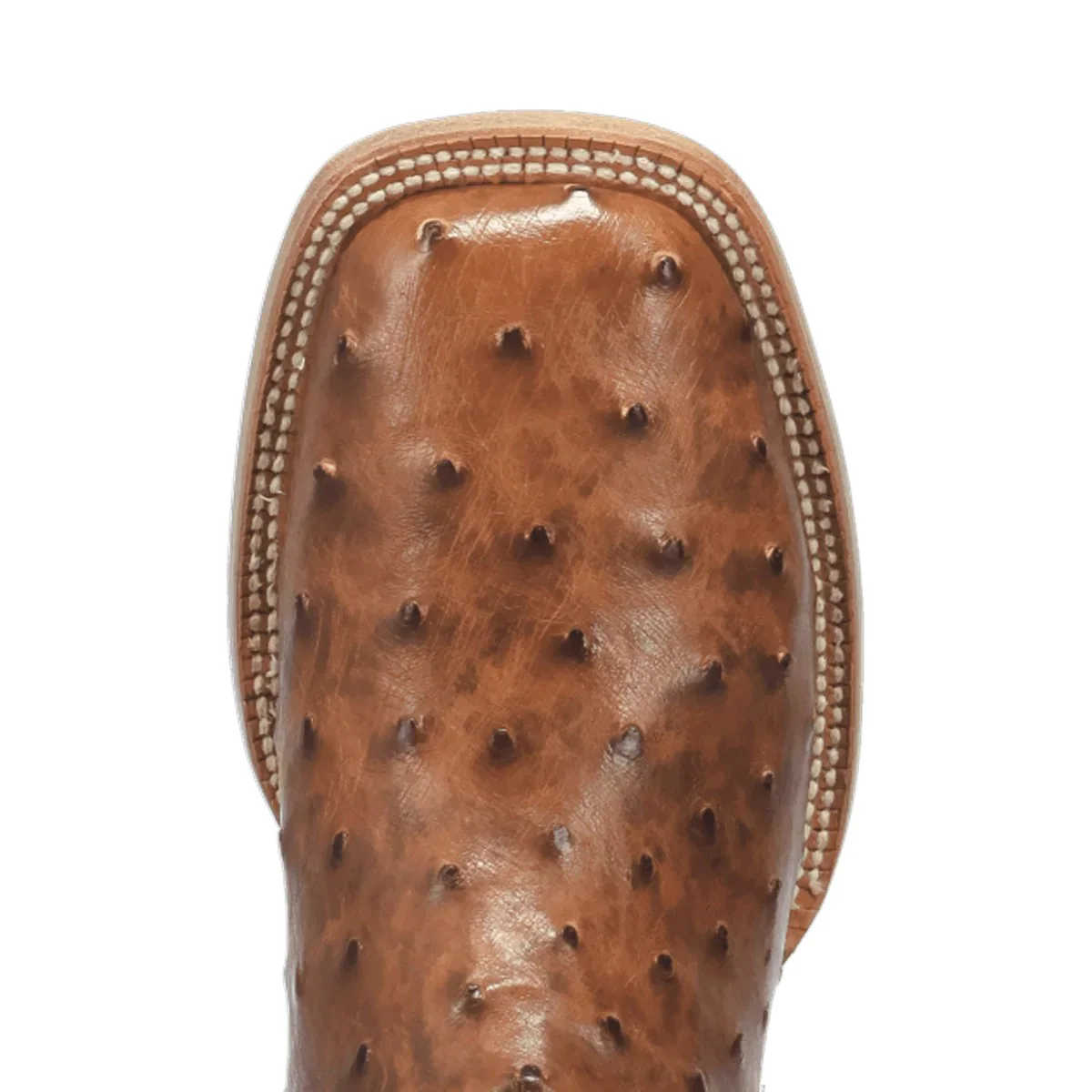 Dan Post Gold Label Brannan FQ Ostrich Brandy Men’s Boot GL102 - Image 6