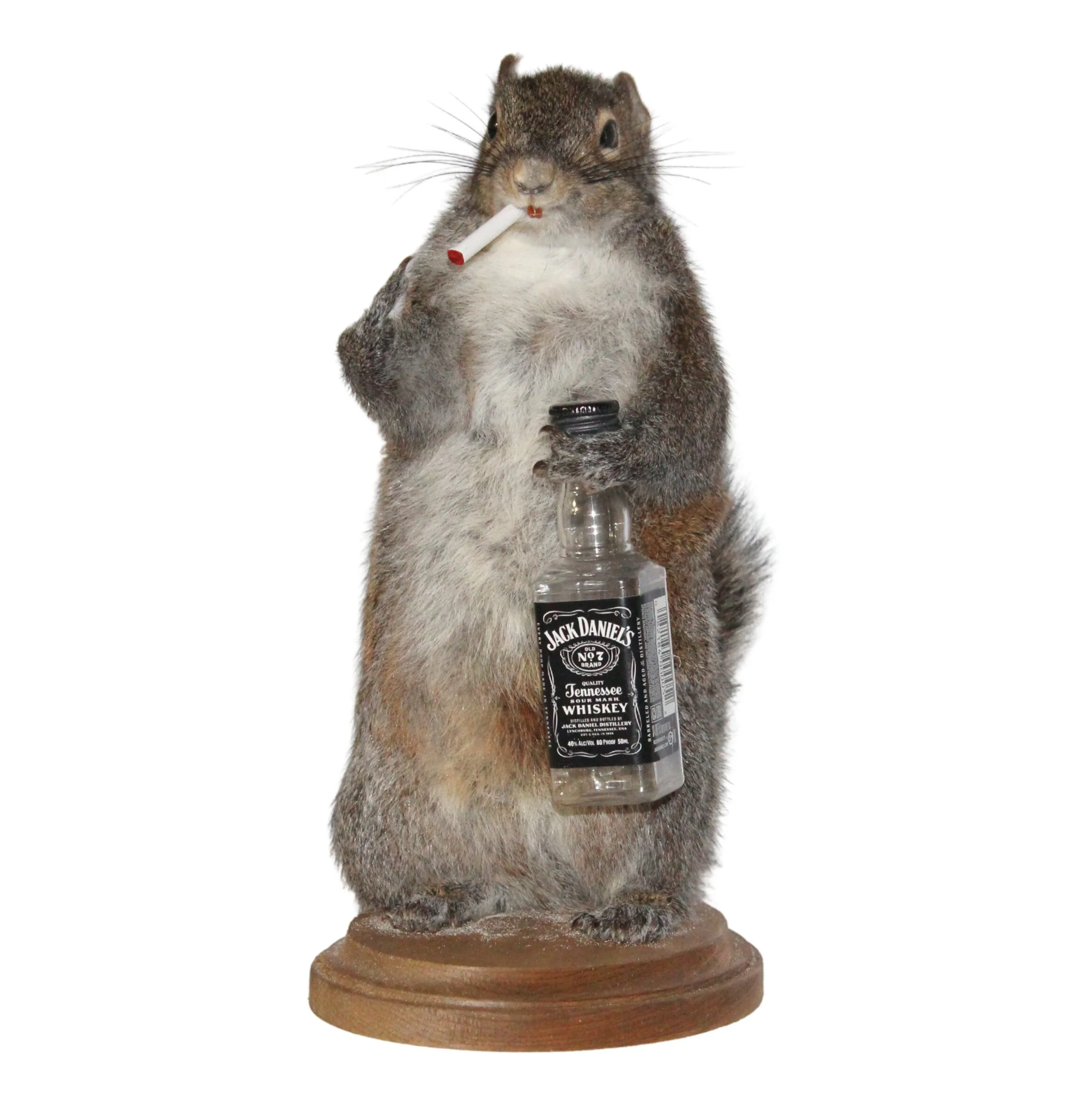 BS Trading Belligerent Squirrel H-M-SQ-WSK