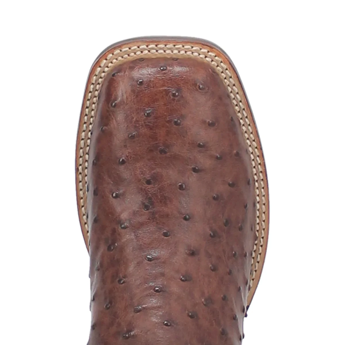 Dan Post Alamosa Chocolate FQ Ostrich Men's Boot DP3875 - Image 6