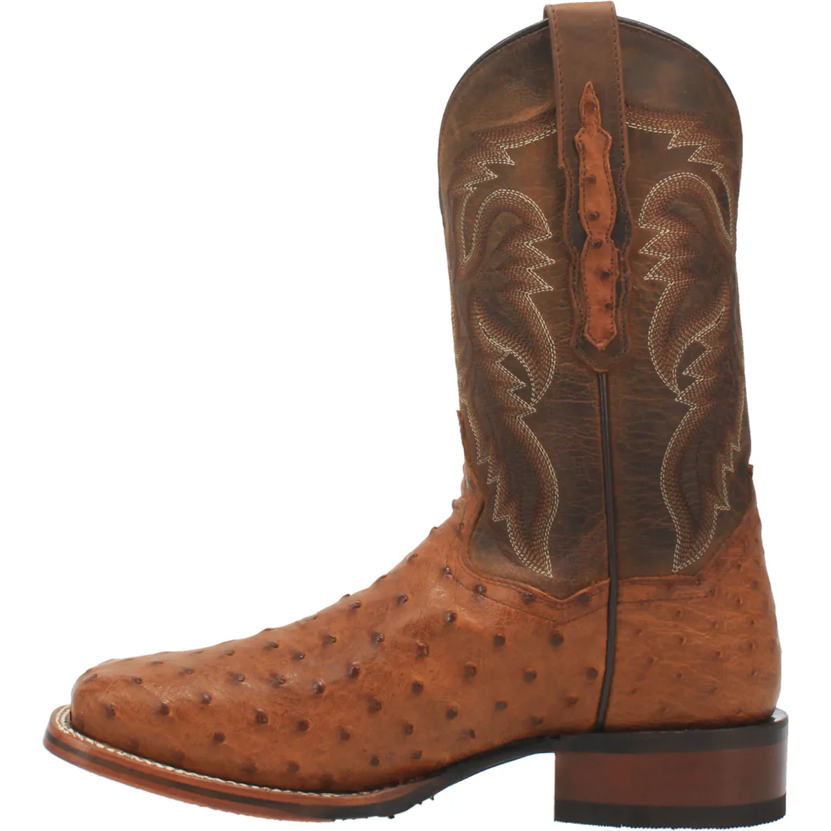 Dan Post Alamosa Bay Apache FQ Ostrich Men's Boot DP4874 - Image 3
