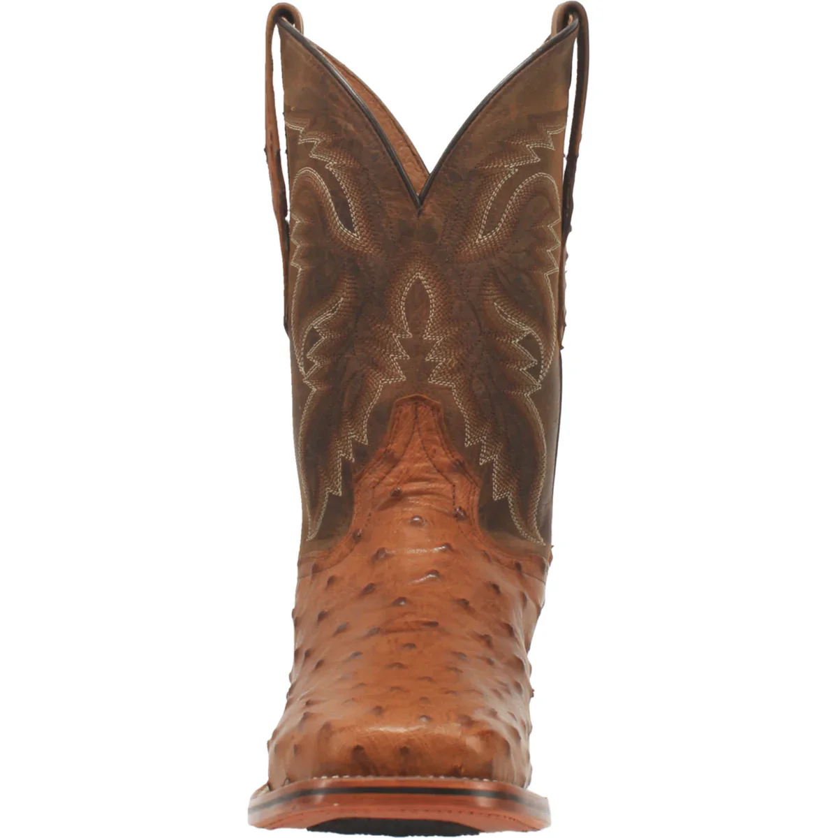 Dan Post Alamosa Bay Apache FQ Ostrich Men's Boot DP4874 - Image 4