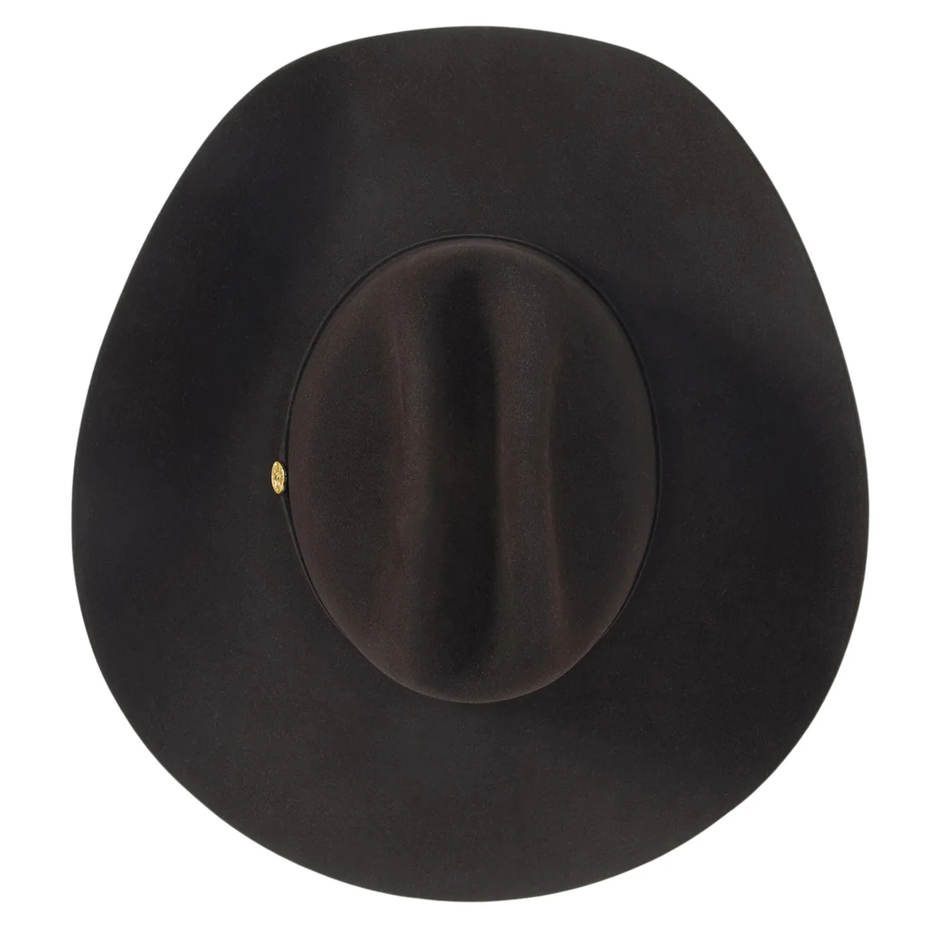 Stetson The Golden Eagle 100X Brown Fur Felt Cowboy Hat SFG160-0140 - Image 5