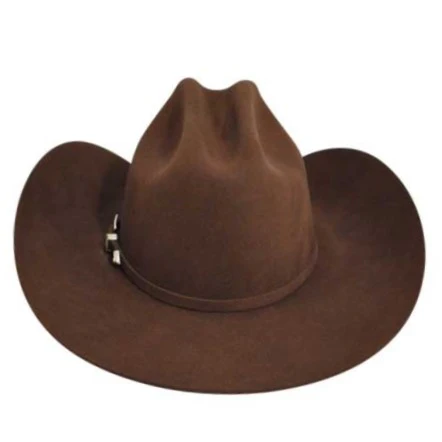 Bailey Lightning 4x Brown Wool Cowboy Hat W0604A - Image 3