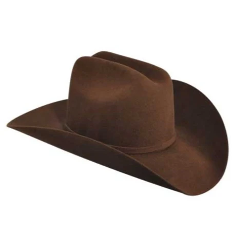 Bailey Lightning 4x Brown Wool Cowboy Hat W0604A - Image 4